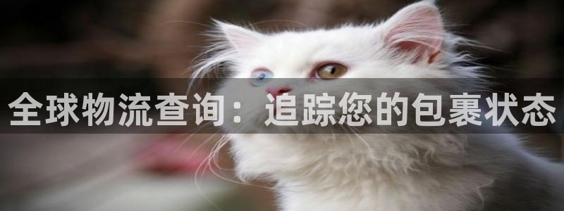 28圈官网平台下载