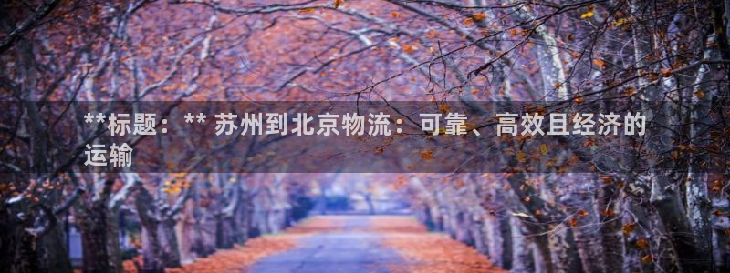 28圈ccm官网版