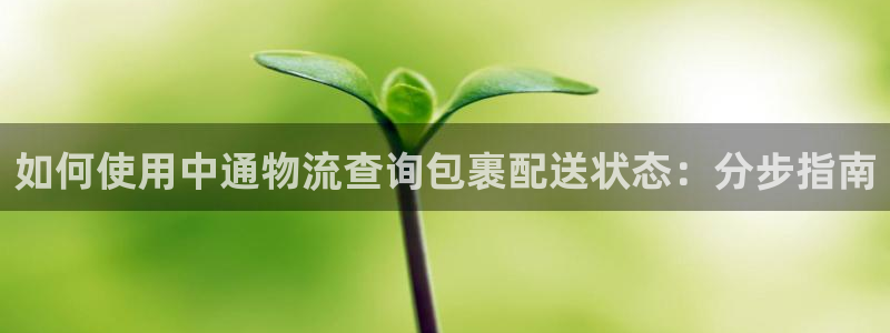28圈游戏链接：如何使用中通物流查询