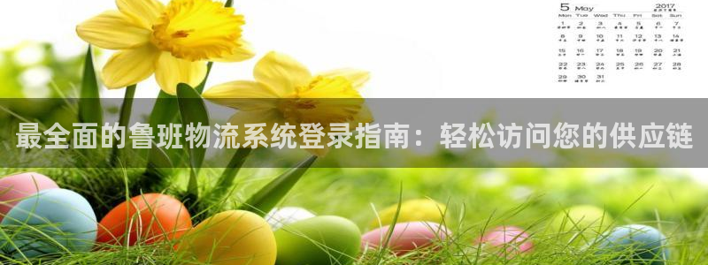 28圈下载二维码