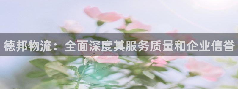 28圈模拟器在线使用：德邦物流：全面
