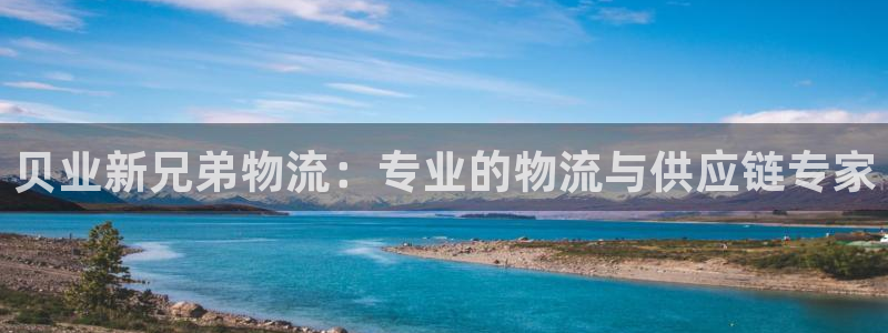 28圈电子游戏