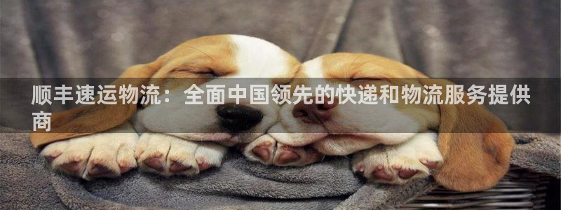 28圈注册网页版