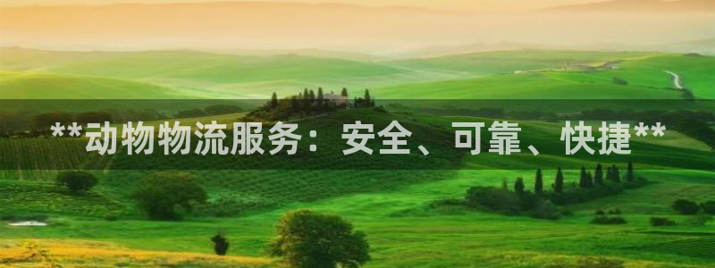 28圈官方