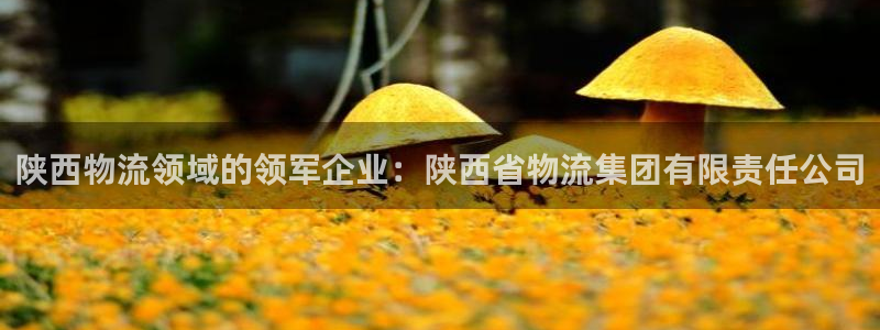 28圈反水