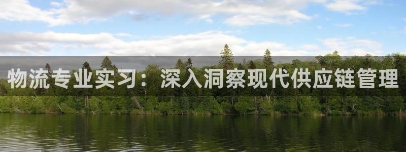 28圈网赌案件