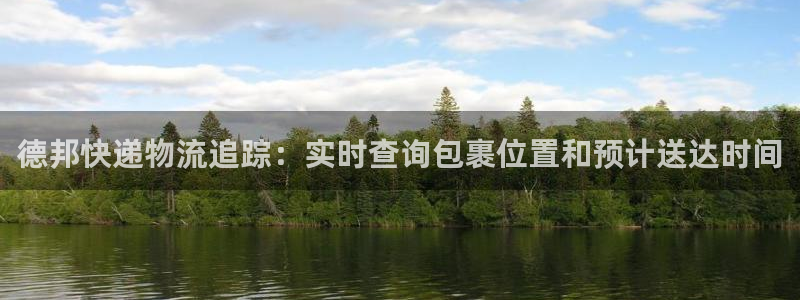 28圈技巧：德邦快递物流追踪：实时查