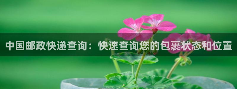28圈网赌有什么风险