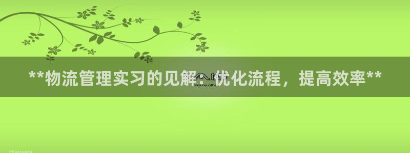 28圈模拟：**物流管理实习的见解：