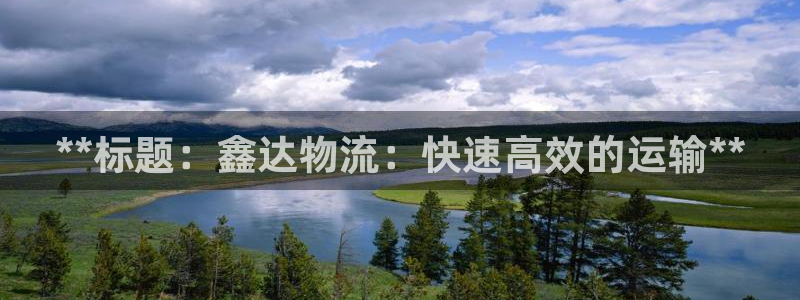 28圈游戏官网入口：**标题：鑫达物