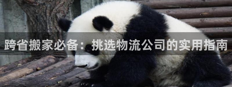 28圈如何看012路计划：跨省搬家必