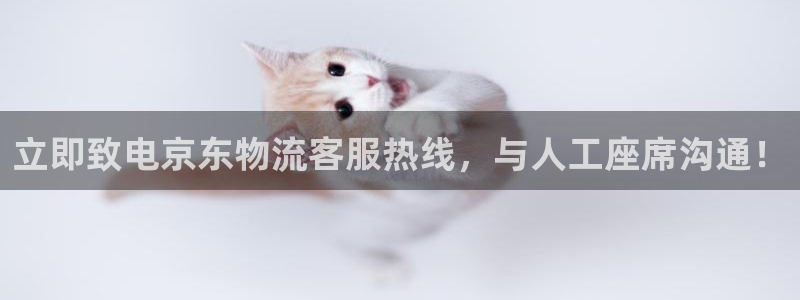 28圈加拿大28：立即致电京东物流客