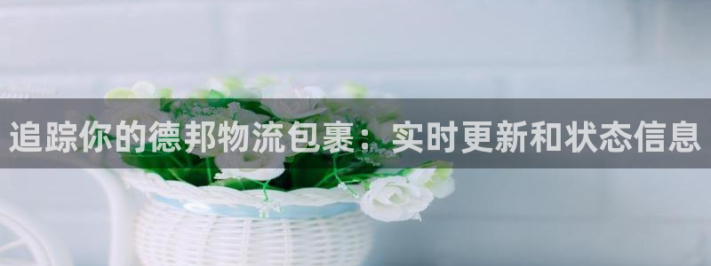 28圈加拿大官网：追踪你的德邦物流包