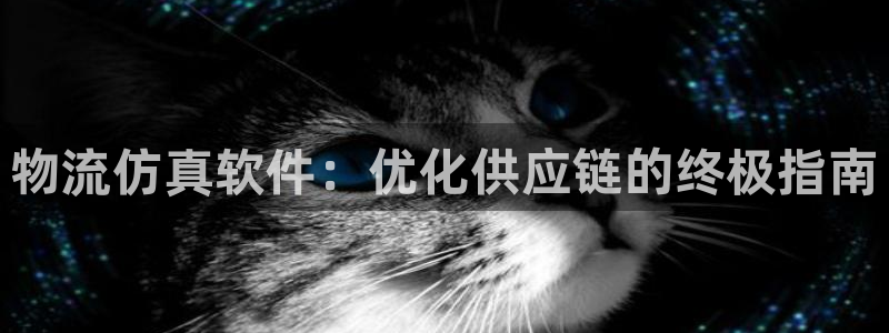 28圈账号注册：物流仿真软件：优化供