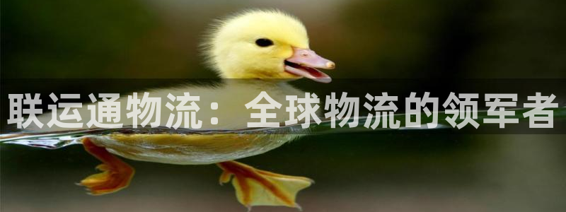 28圈是正规软件吗