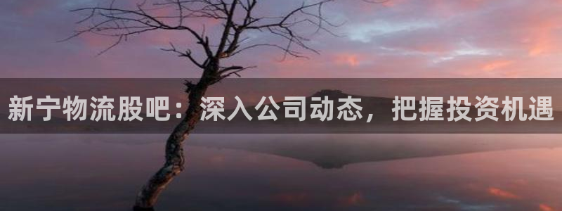 28圈注册步骤：新宁物流股吧：深入公