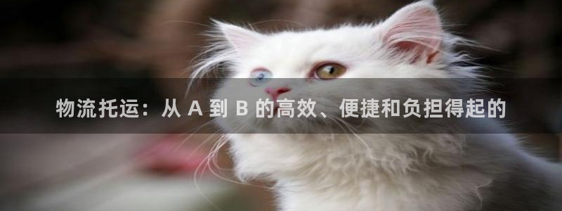 28圈注册二维码：物流托运：从 A 