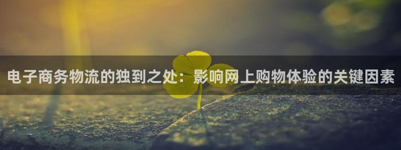 28圈app能退款吗：电子商务物流的独到之处：影响网上购物体