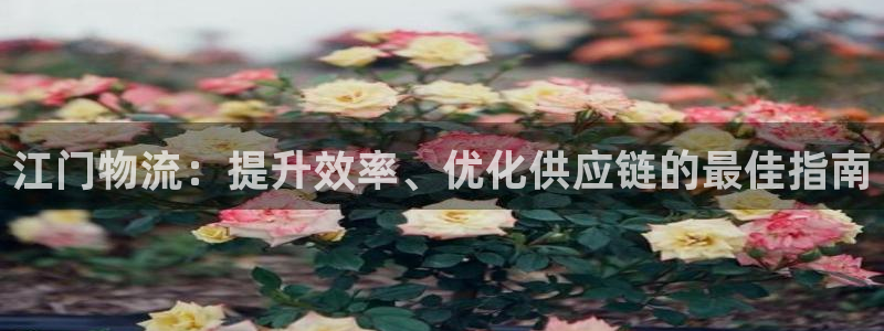 28圈麻将：江门物流：提升效率、优化