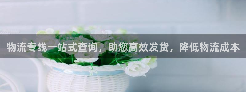 28圈不给提现：物流专线一站式查询，助您高效发货，降低物流成