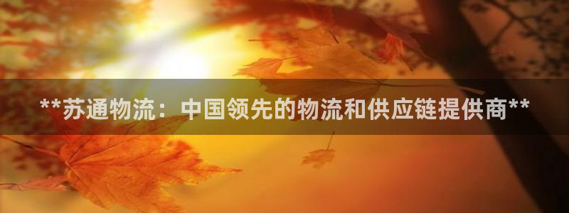 28圈.ccm：**苏通物流：中国领