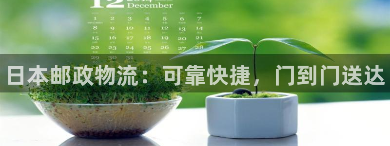 28圈平台注册：日本邮政物流：可靠快