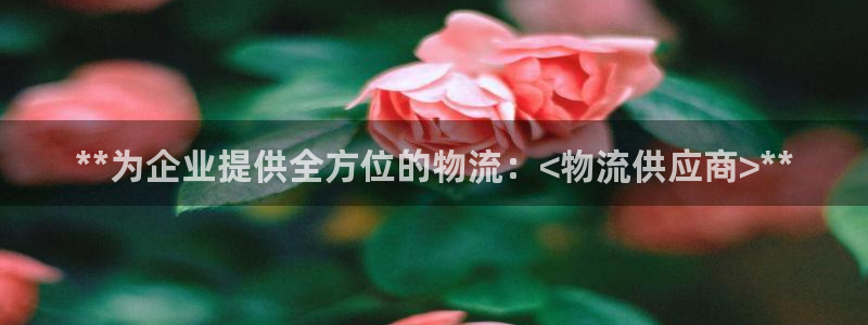 28圈退款教程：**为企业提供全方位