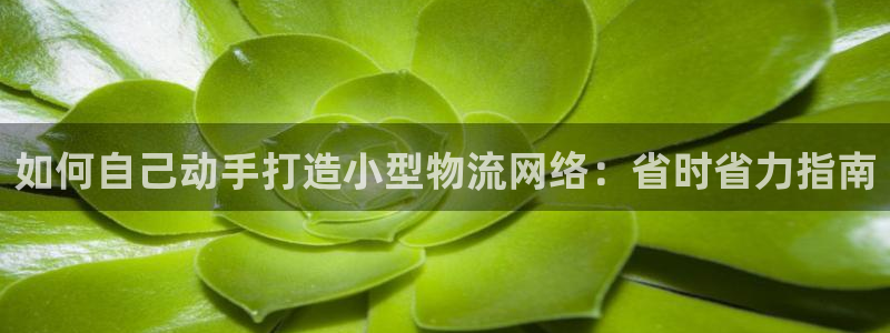 28圈和南宫28什么关系：如何自己动