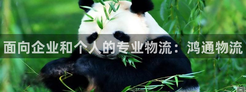 28圈能不能退：面向企业和个人的专业