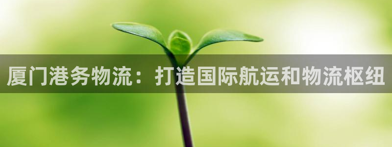 28圈新用户怎么注册：厦门港务物流：