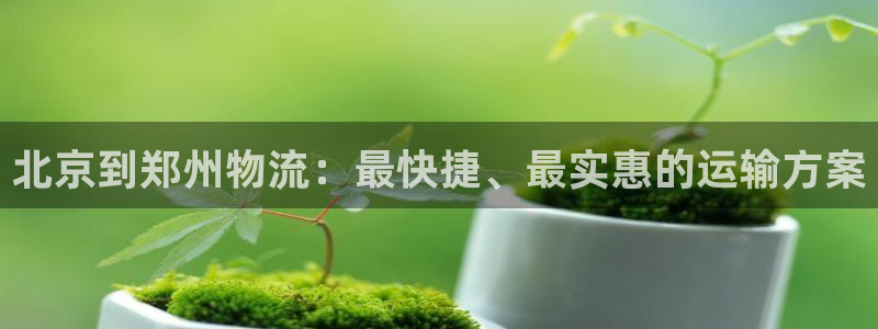 28圈怎么注册账号和密码：北京到郑州