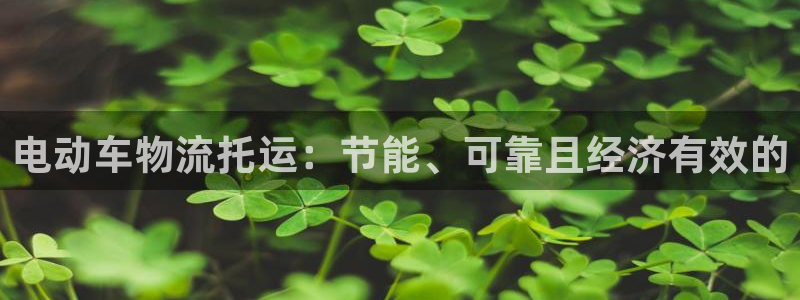 28圈注册流程：电动车物流托运：节能
