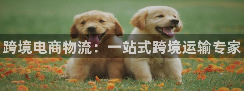 28圈自行车图片大全：跨境电商物流：