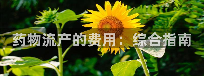 28圈旗下：药物流产的费用：综合指南