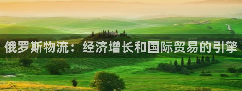 28圈注册：俄罗斯物流：经济增长和国