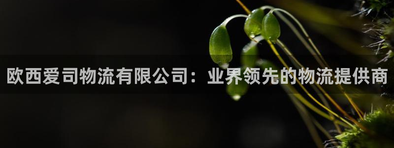 28圈注册网站APP：欧西爱司物流有