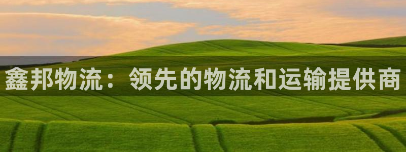 28圈黑款：鑫邦物流：领先的物流和运