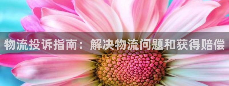 28圈aPP退款：物流投诉指南：解决