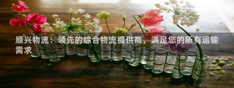 28圈绿骨头：顺兴物流：领先的综合物