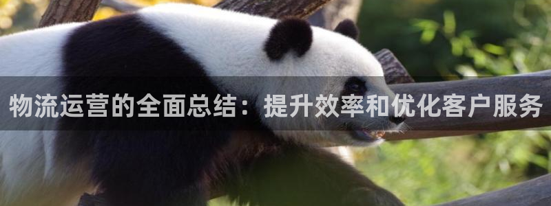 28圈网站平台是多少：物流运营的全面