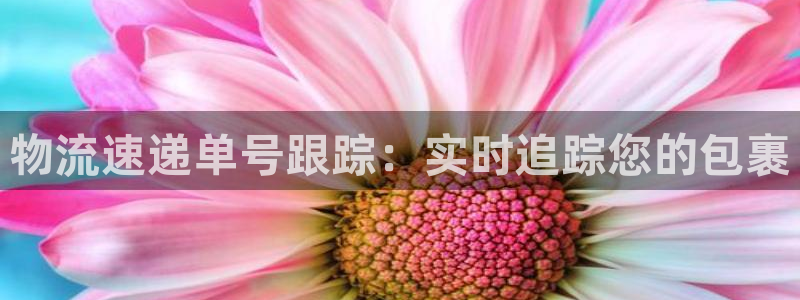 28圈口：物流速递单号跟踪：实时追踪