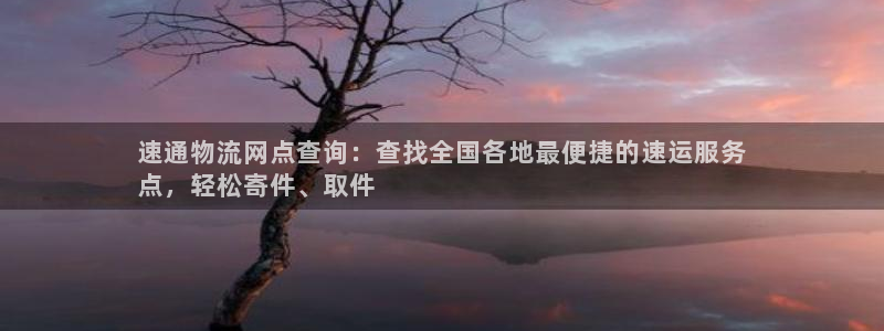 28圈头像：速通物流网点查询：查找全