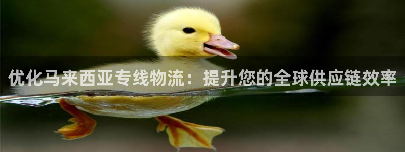 28圈游戏官网平台：优化马来西亚专线