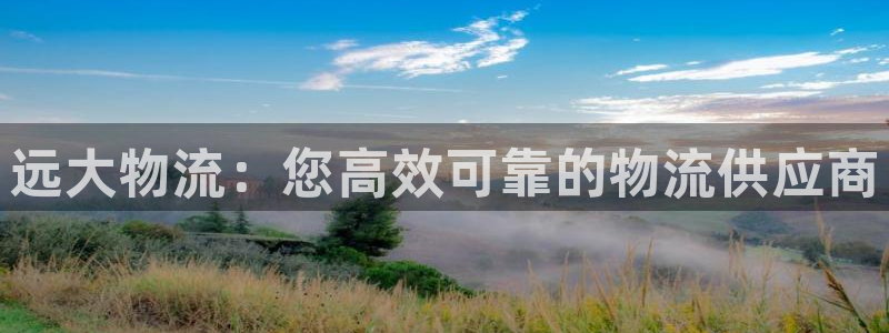 28圈选28ng官网：远大物流：您高效可靠的物流供应商