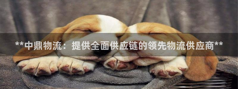 28圈.ccmo：**中鼎物流：提供