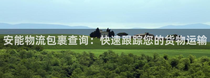 28圈PG电子游戏：安能物流包裹查询