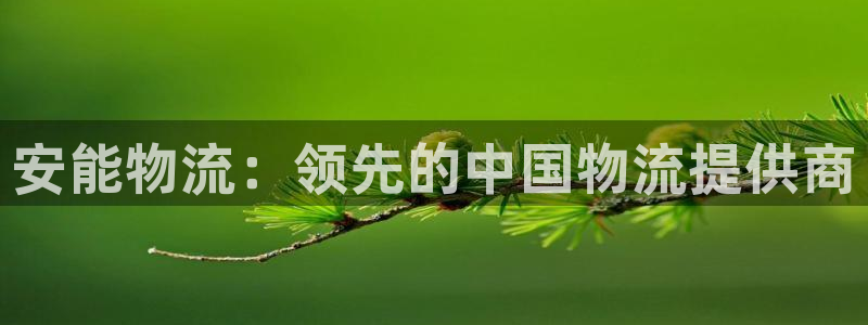 28圈游戏：安能物流：领先的中国物流