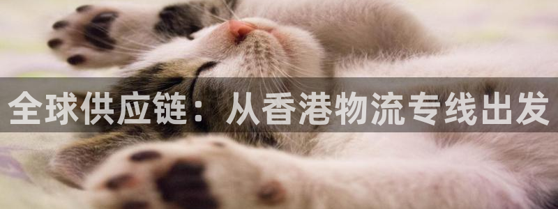 28圈软件总是闪退怎么回事