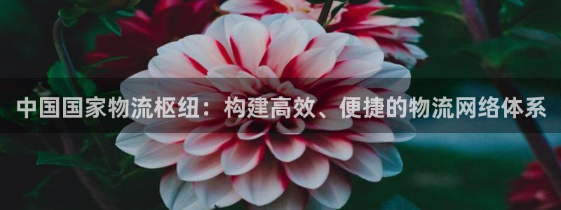 28圈软件是什么