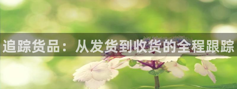 28圈黑款